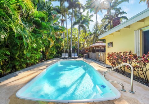 Tropical palm trees make the back yard in to a tropical paradise.