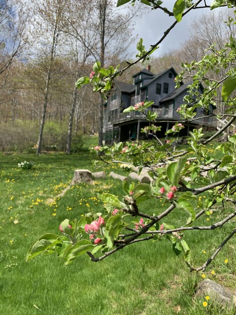 The Main House in spring
