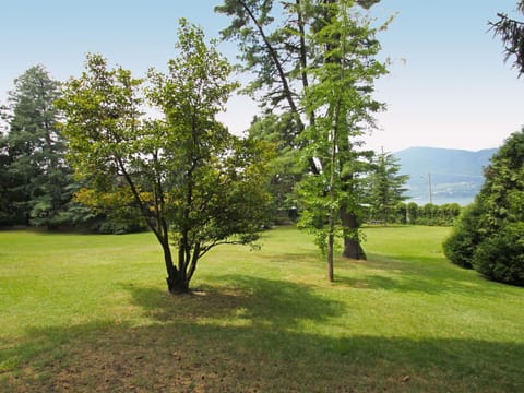 Plant, Sky, Natural Landscape, Branch, Land Lot, Shade, Tree, Grass, Woody Plant, Grassland