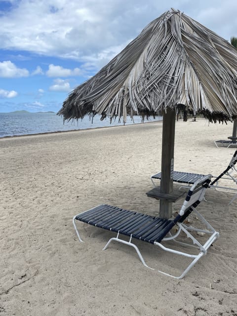 Seaside Dreams