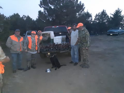 Pheasant hunting