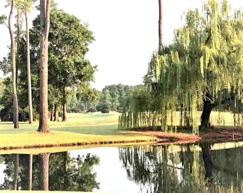 Tranquil golf view with greenery, tall trees & a peaceful reflective pond.