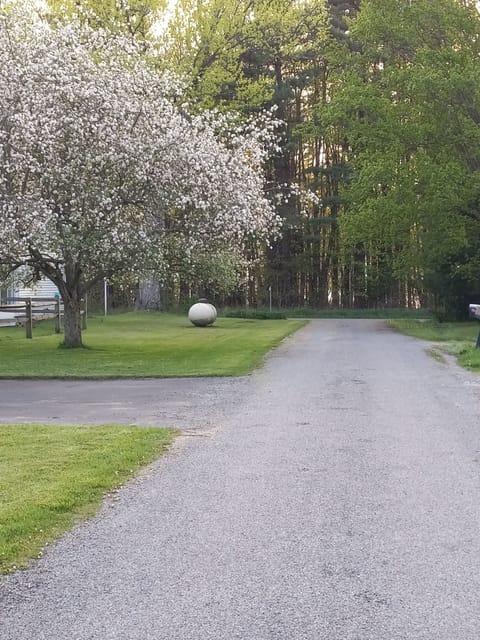 on the corner of Horseshoe drive and South Lake Rd