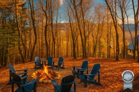 Little Andy Mountain Cabins Voted Best of GA 2025