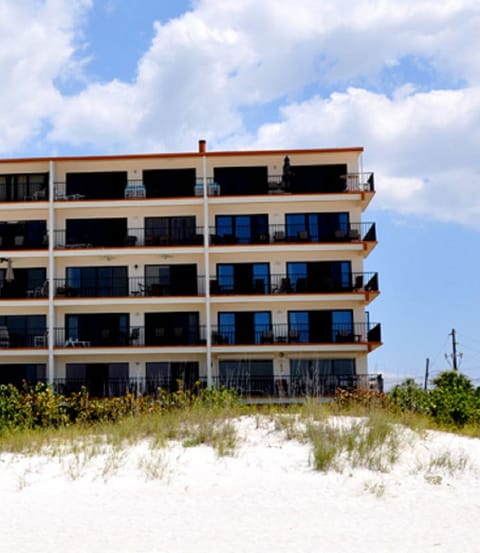 37d2833a-a1fa-457a-b495-1f75e410f734