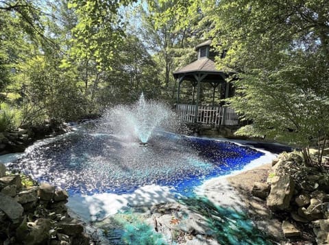 Backyard fountain view

