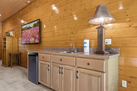 Entertainment Room - Wet Bar