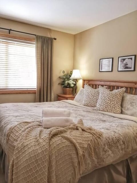 Upstairs master bedroom with king bed, television, and walk-in closet.