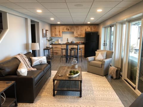 Lower level of the house-family room and wet bar. Couch pulls out into queen bed