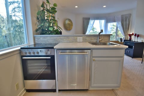 New stove and a super quiet dishwasher.