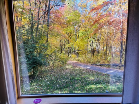 Fall view from living room