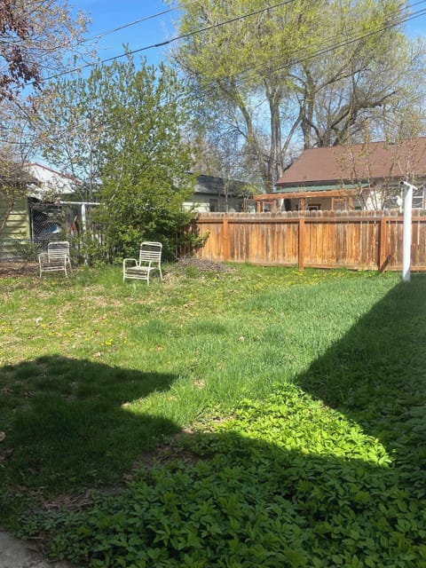 Fenced back yard.