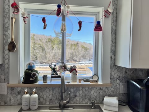 Pond and lake view from kitchen sink window