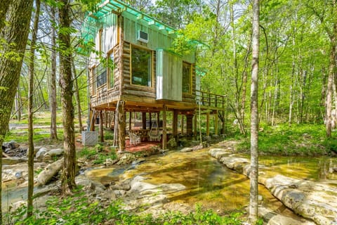 backside of treehouse and creek