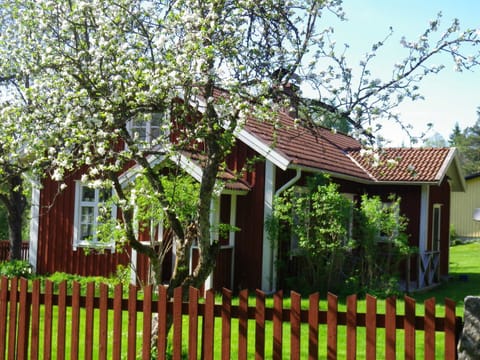 house in spring