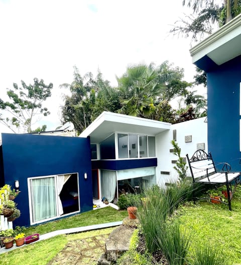 Backyard and Laundry room