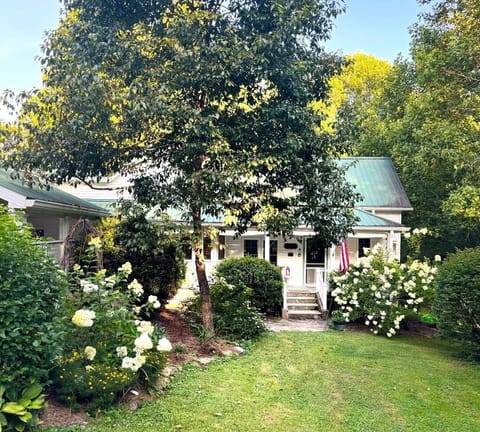 The Cottage in FULL BLOOM!