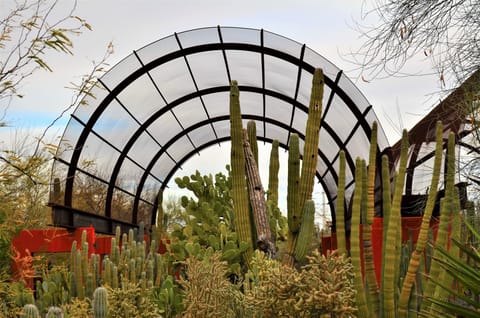 Explore desert beauty nearby with unforgettable cactus garden strolls.