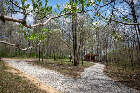 Plenty of parking space