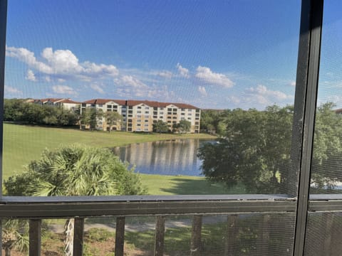 View from the screened in patio