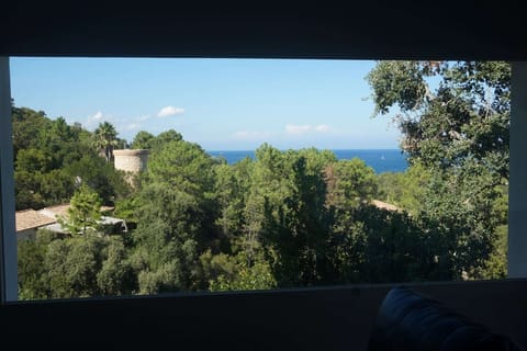 View from Holiday Home [summer]