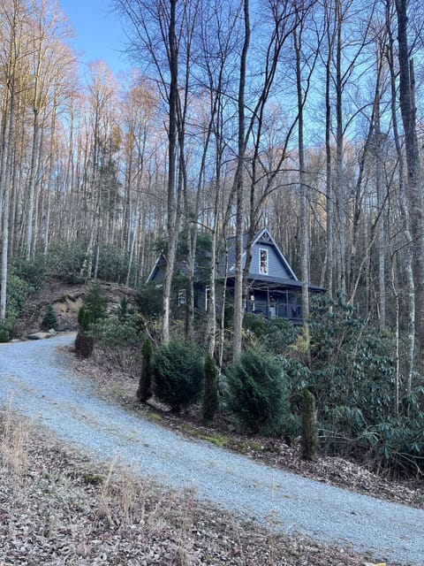 looking at the cabin from driveway