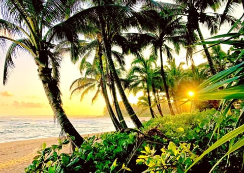 Gorgeous nearby beach with swaying palms and white sands - perfect bliss! IML-E4