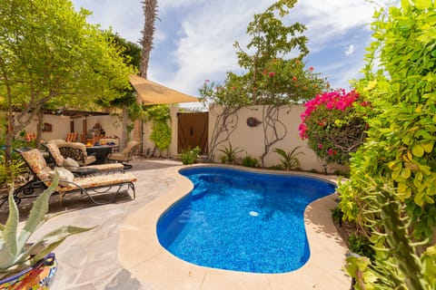 Pool / Patio Furniture / Living Area