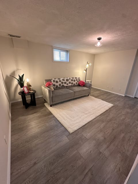 Basement living room - couch/futon folds to full size bed!