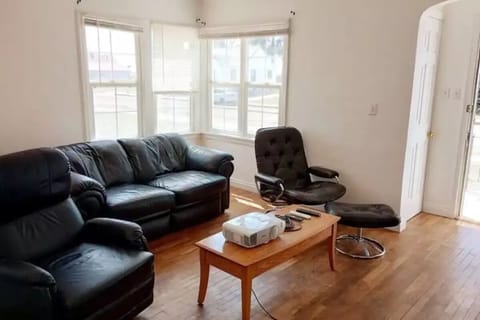 Living room cinema and music lounge.