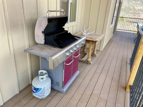 Gas BBQ grill