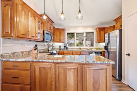 Large Fridge and Nice Kitchen Lighting