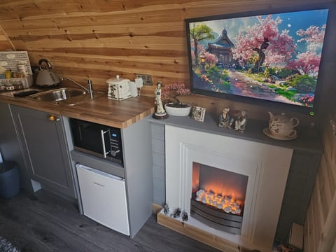 TV, DVD, Amazon firestick, Netflix, retro game device.