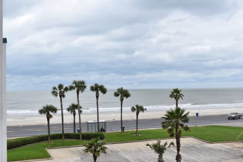 How's that for a gulf view?  Grab a chair and join us!