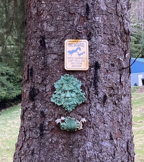 coming up the driveway