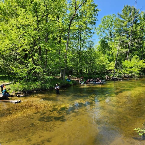 Little Manistee River - across from River Bear Retreat