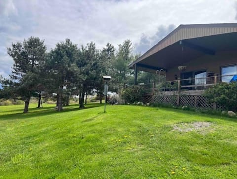 View of house from back yard.