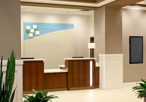 Check in smoothly at a modern, welcoming front desk.