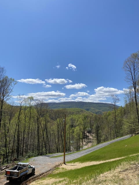 View from front porch