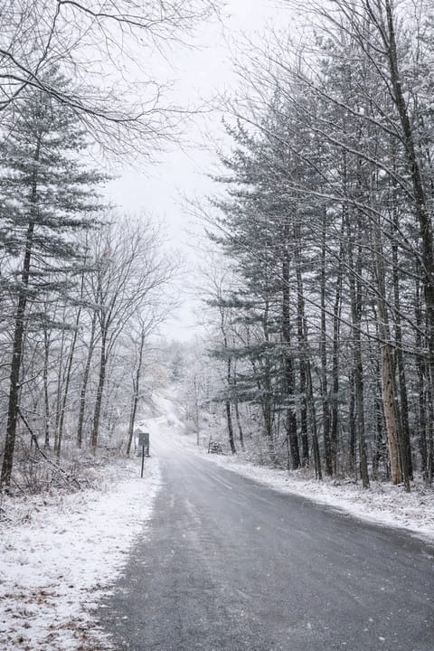 Even winter has its peaceful charm here. Branstrom Park is just steps away!