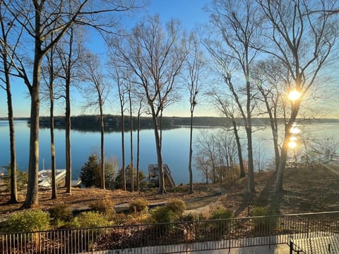 View from back porch