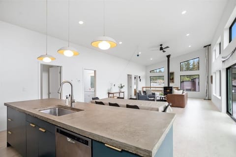 Clean, modern main living area with vaulted ceilings.