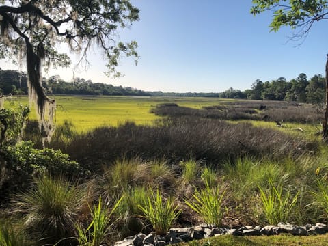 Breath Taking backyard view. River can be seen at High Tide