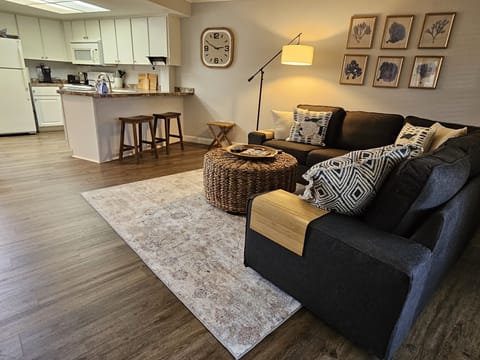 Living area / counter stools