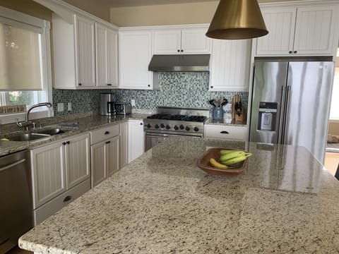 Kitchen stainless appliances Viking stove 