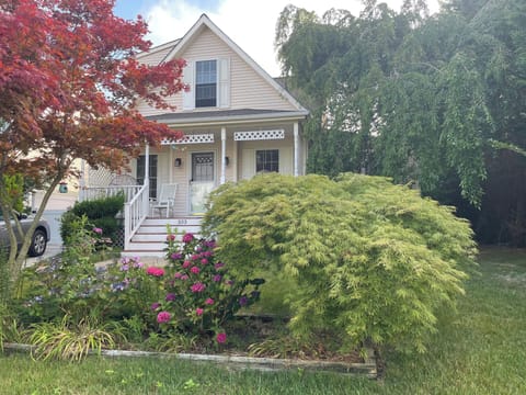 the house is surrounded by quiet and green, while walkable to the ocean. 