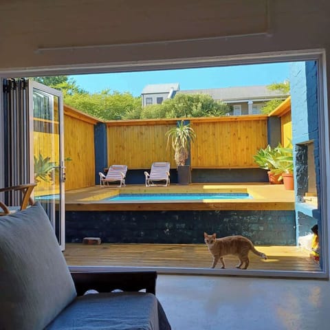 View of the deck and pool area from the lounge. Tigger, our ginger cat likes to pop around for a visit and a cuddle.