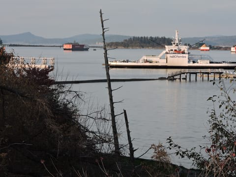View of BC Ferries and the spit and pier from the property.