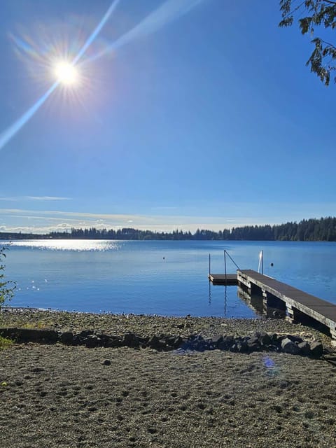 From the cabin - your view of the lake and your own private dock!
