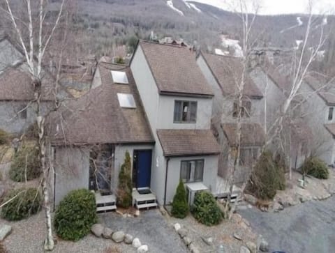 Ariel photo of townhome. There are two front entrances.